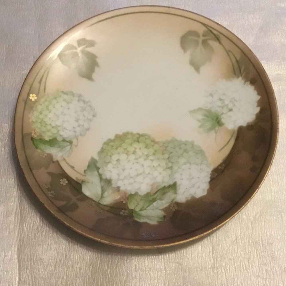 Antique R.S. Germany hand-painted porcelain plate - Picture 4 of 8